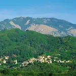 Domaine D'anghione *