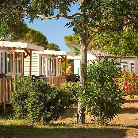 Domaine D'anghione Castellare-di-Casinca