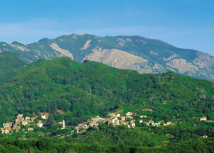 Domaine D'anghione *